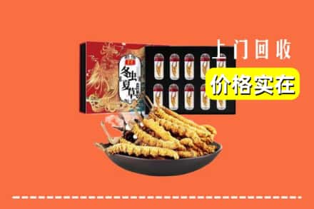 九江市庐山回收冬虫夏草
